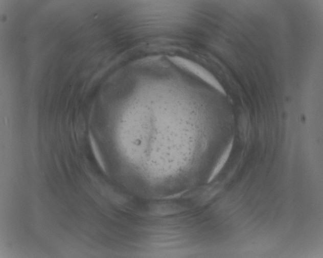 X0000077370372200611101710