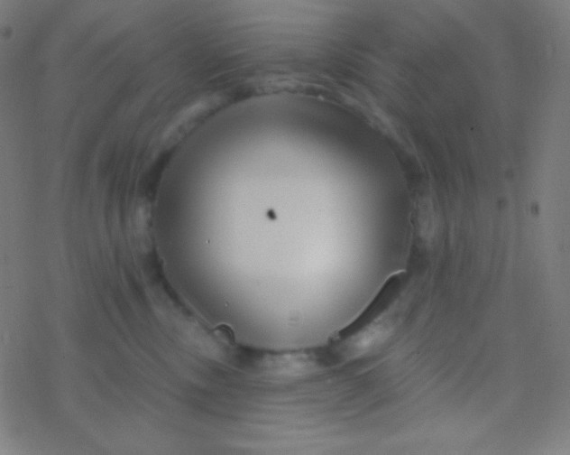 X0000077370378200611101710