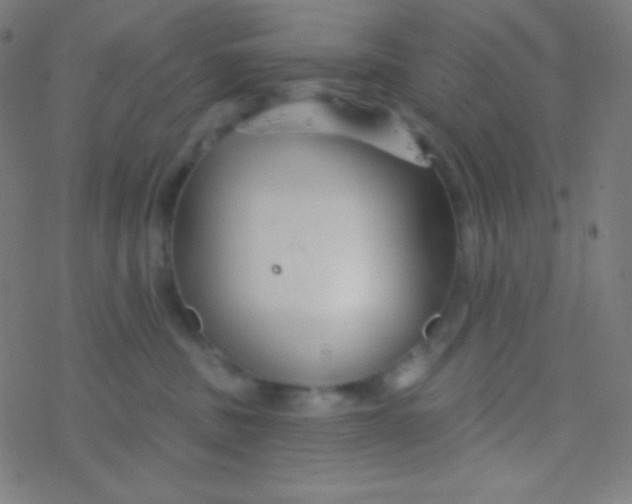 X0000077370379200611101710