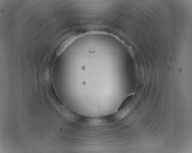 X0000077370380200611101710