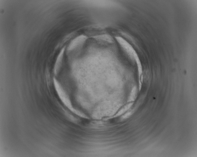 X0000077370381200611101710