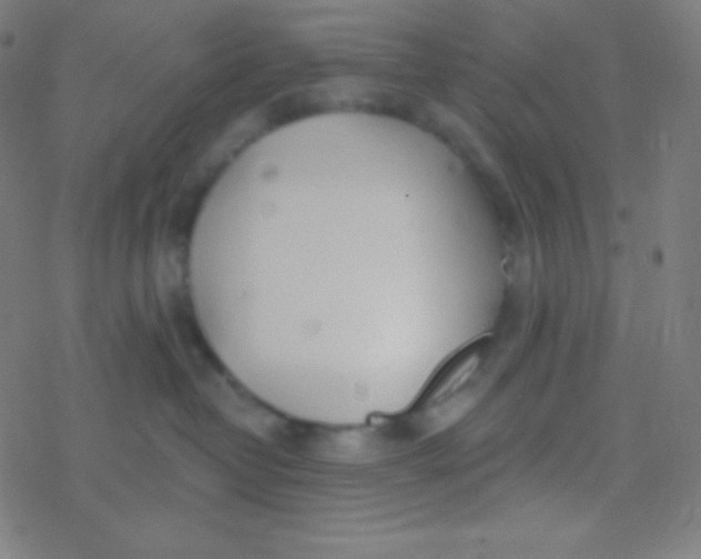 X0000077370382200611101710