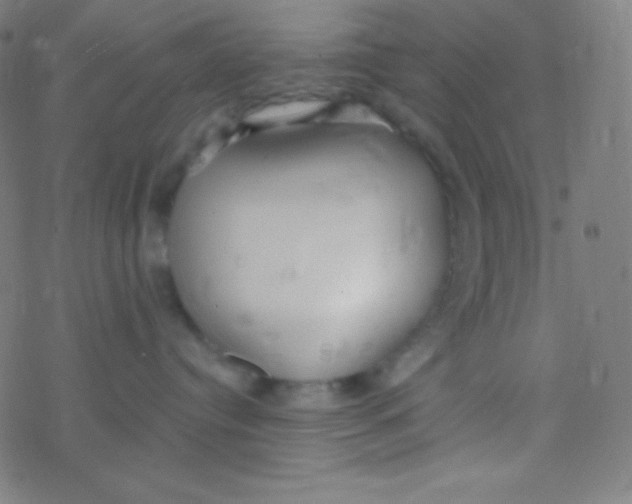 X0000077370384200611101710