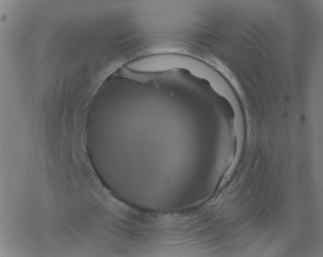 X0000077370385200611101709