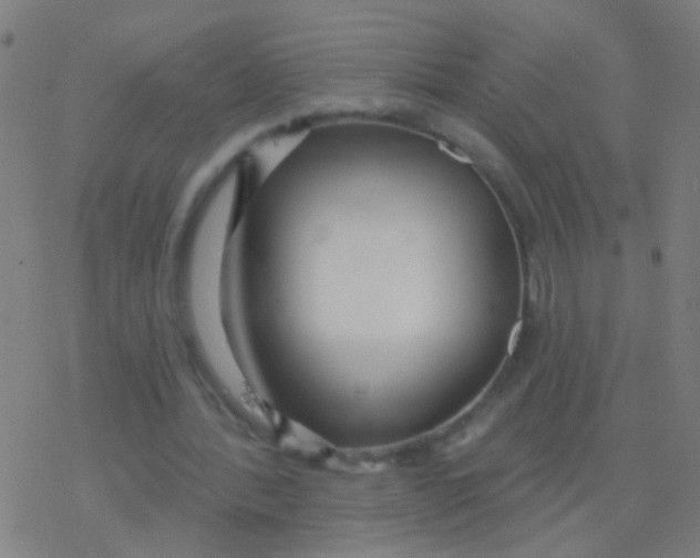 X0000077370388200611101709