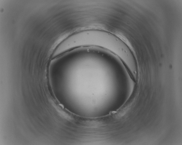 X0000077370389200611101709