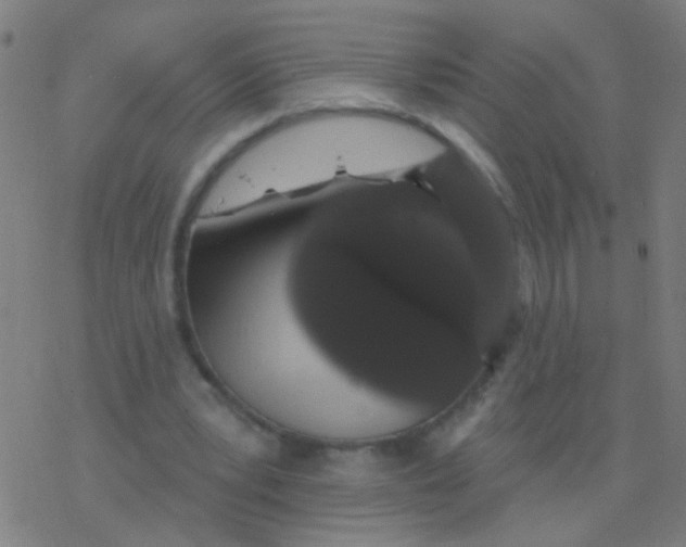 X0000077370391200611101709