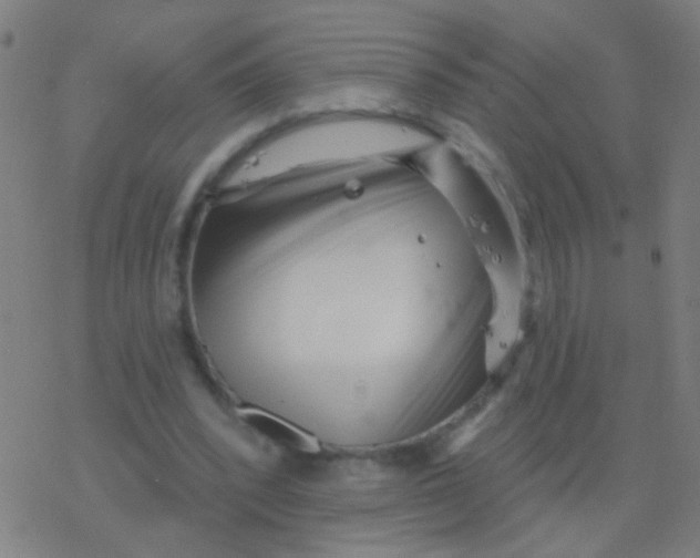 X0000077370392200611101709