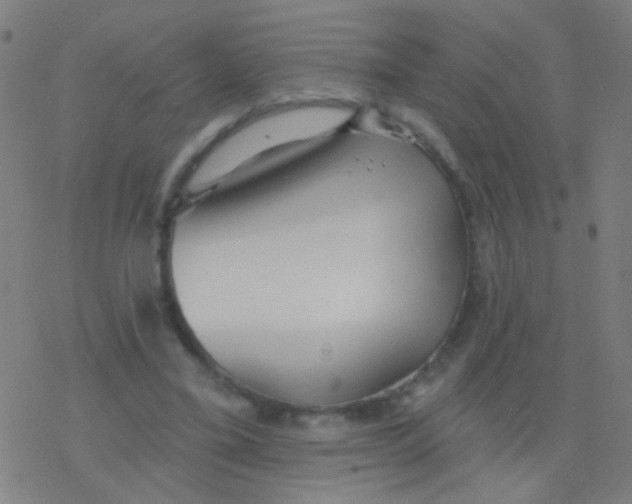 X0000077370395200611101709