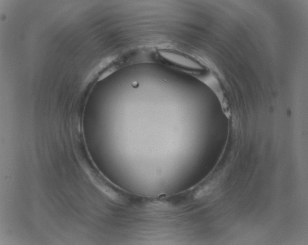 X0000077370397200611101709