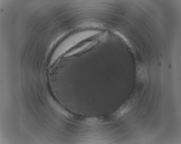 X0000077370399200611101709