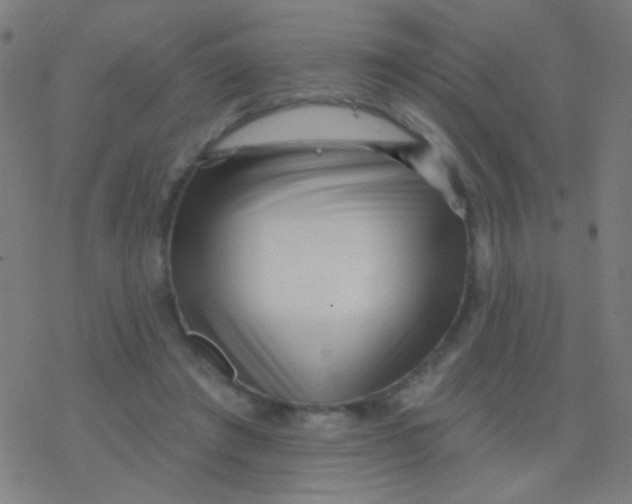 X0000077370401200611101709