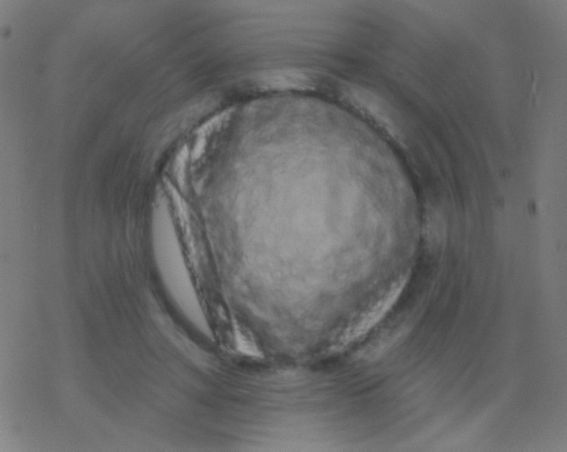 X0000077370402200611101709