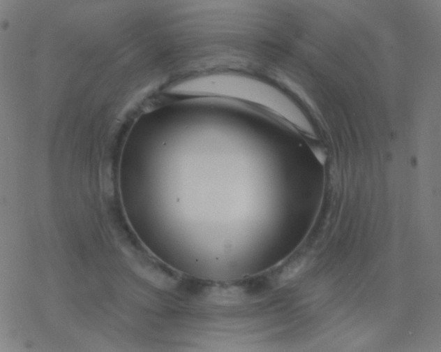 X0000077370403200611101709