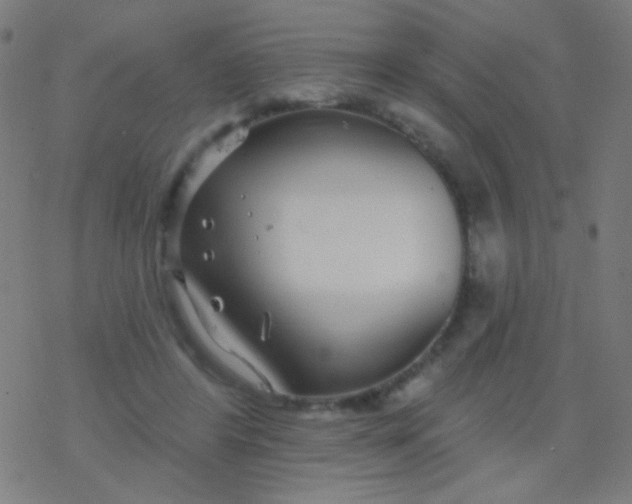 X0000077370404200611101709