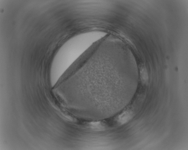 X0000077370406200611101709