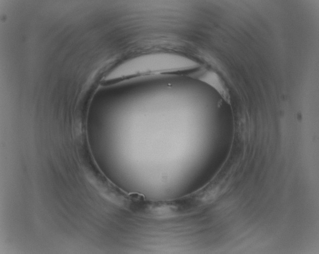 X0000077370407200611101709