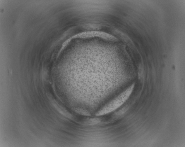 X0000077370409200611101709