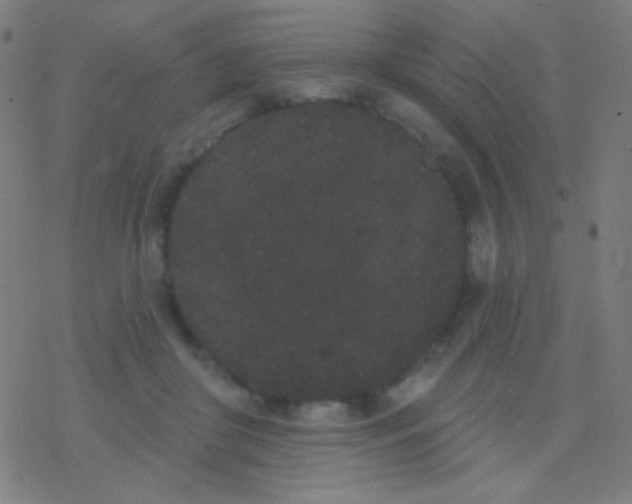 X0000077370410200611101709