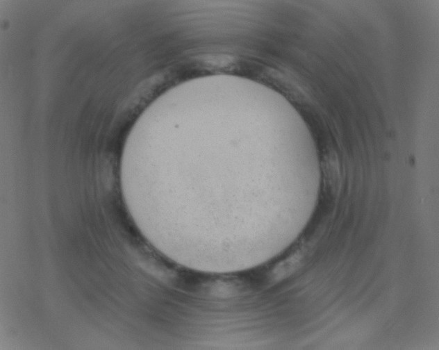 X0000077370412200611101709