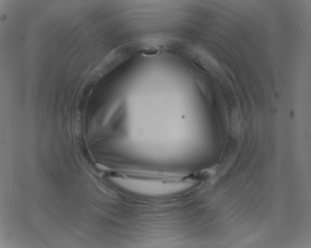 X0000077370413200611101709