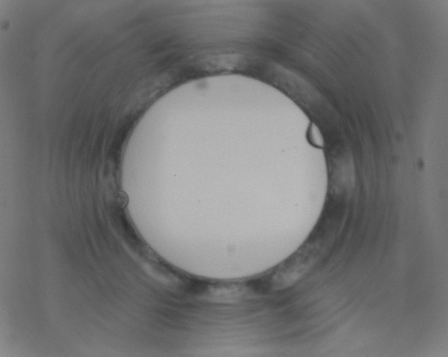 X0000077370414200611101709