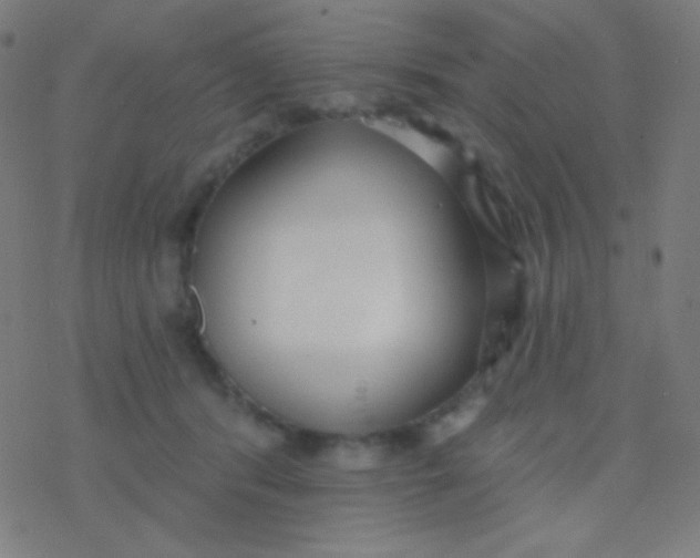 X0000077370416200611101709