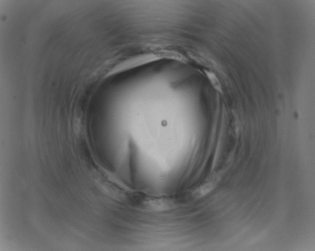 X0000077370417200611101709