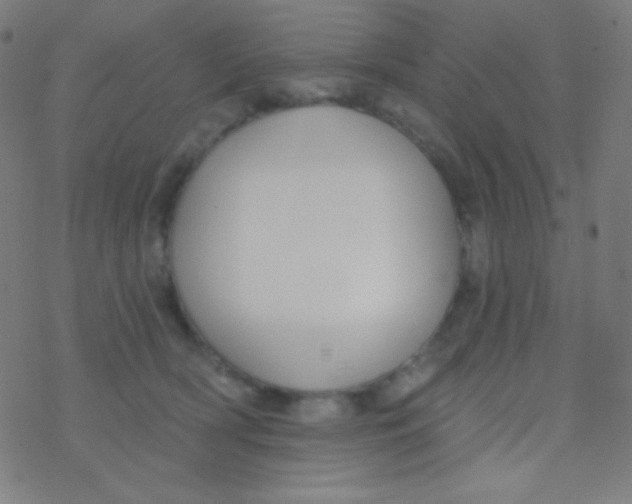 X0000077370418200611101709