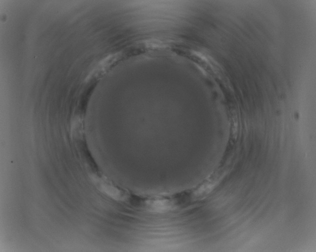 X0000077370419200611101709