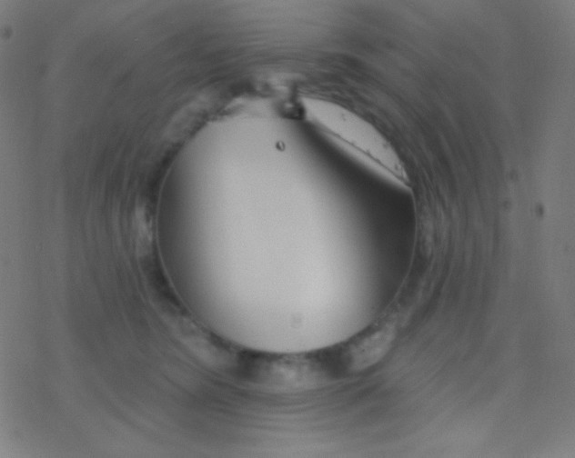 X0000077370420200611101709