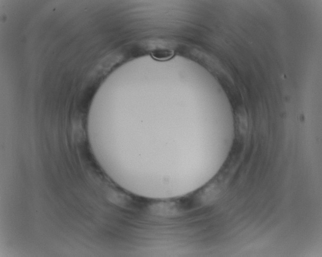 X0000077370422200611101709