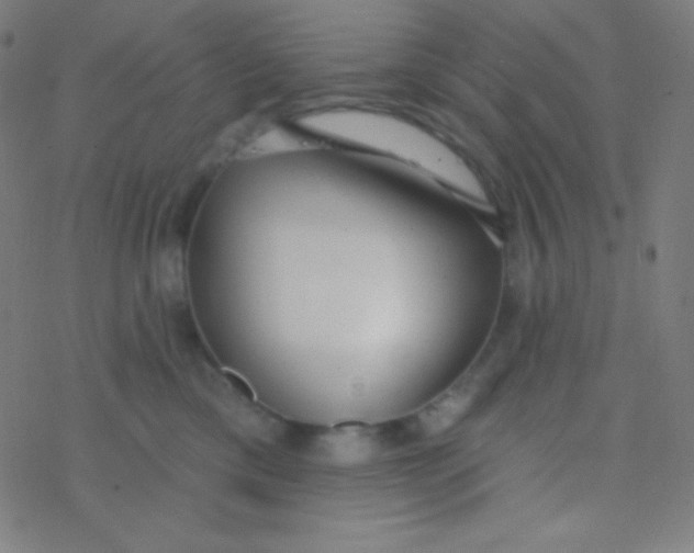 X0000077370425200611101709