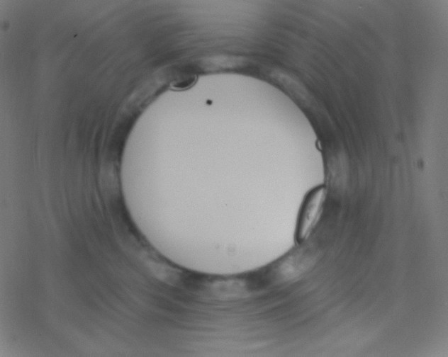 X0000077370426200611101709