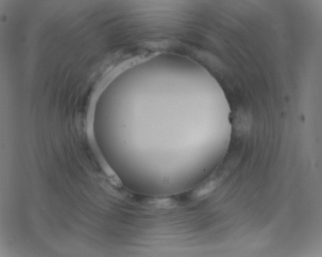 X0000077370428200611101709