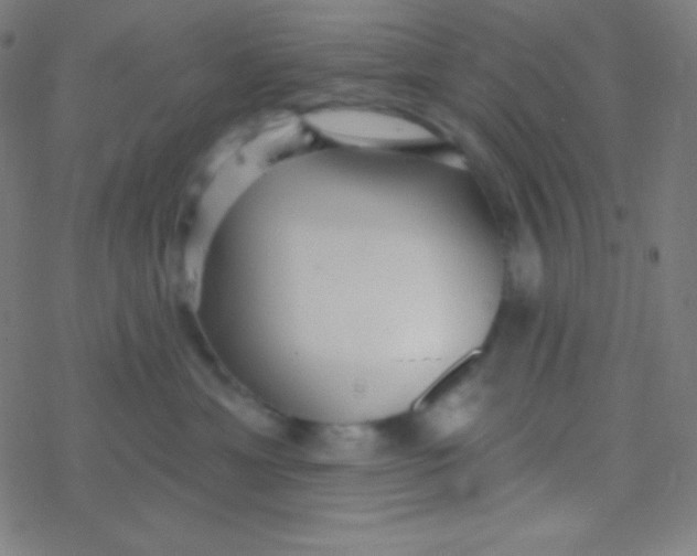 X0000077370429200611101709