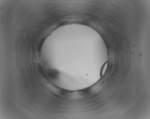 X0000077370430200611101709