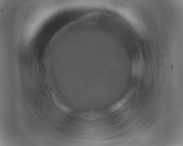 X0000077370431200611101709