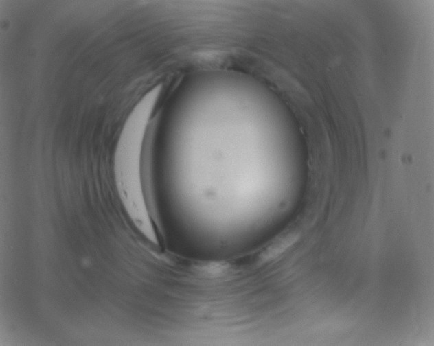 X0000077370432200611101709