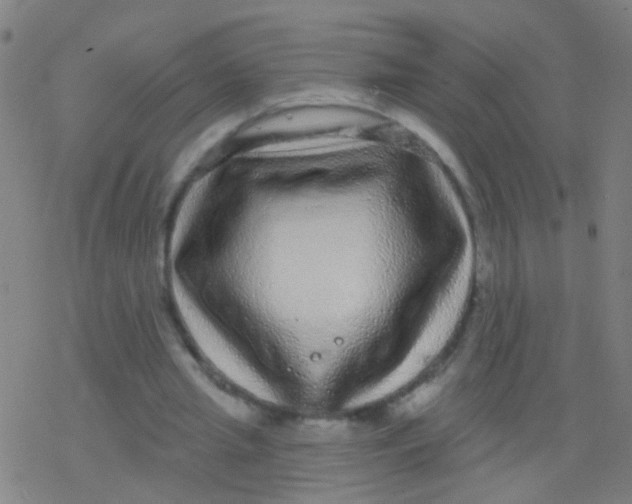 X0000077370437200611101708