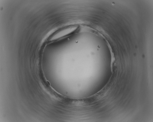 X0000077370440200611101708