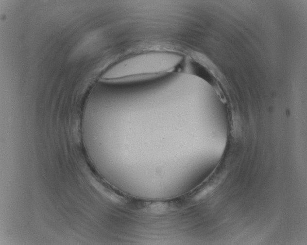 X0000077370441200611101708