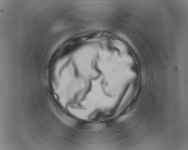 X0000077370443200611101708