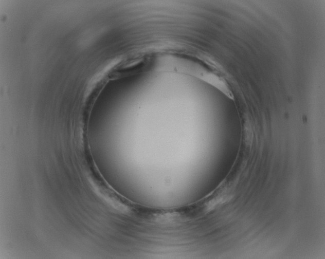 X0000077370446200611101708