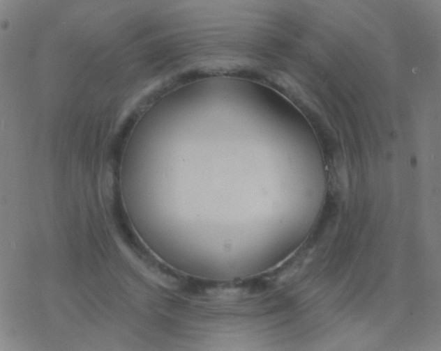 X0000077370448200611101708