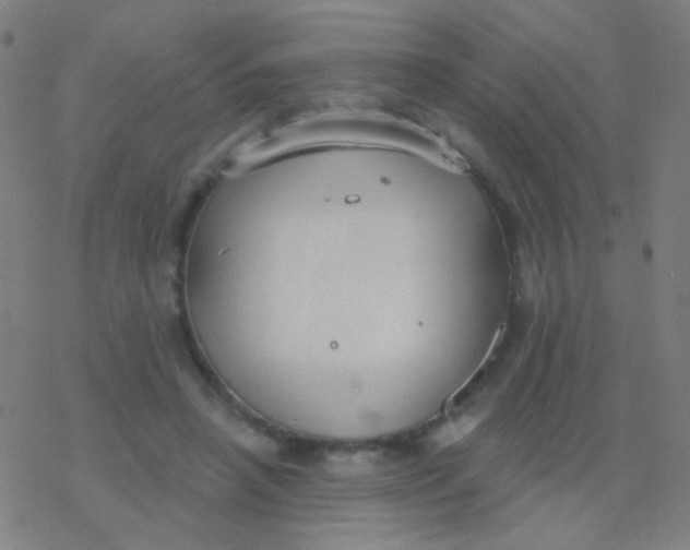 X0000077370450200611101708