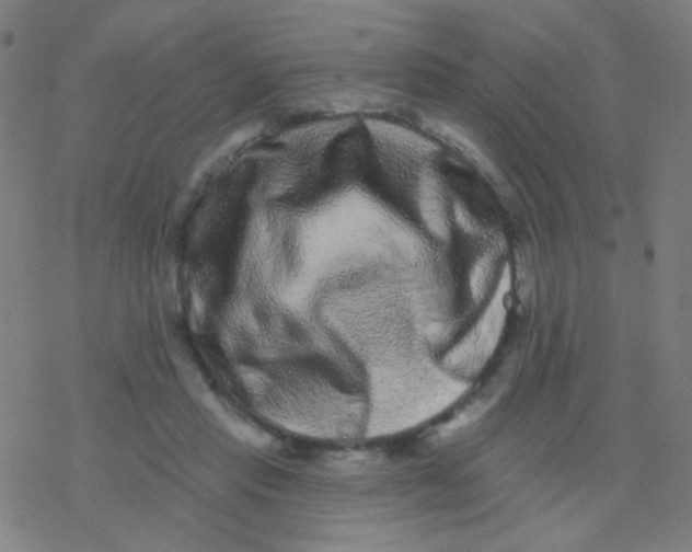 X0000077370453200611101708