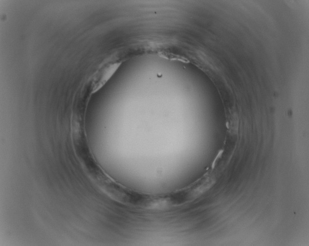 X0000077370456200611101708