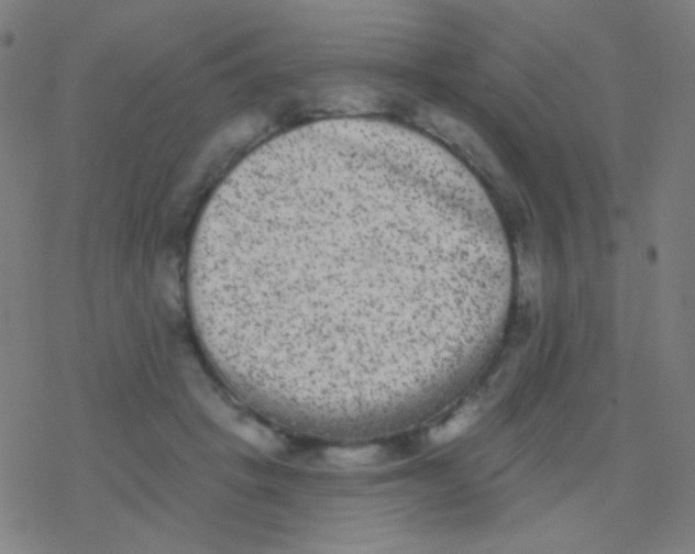 X0000077370457200611101708