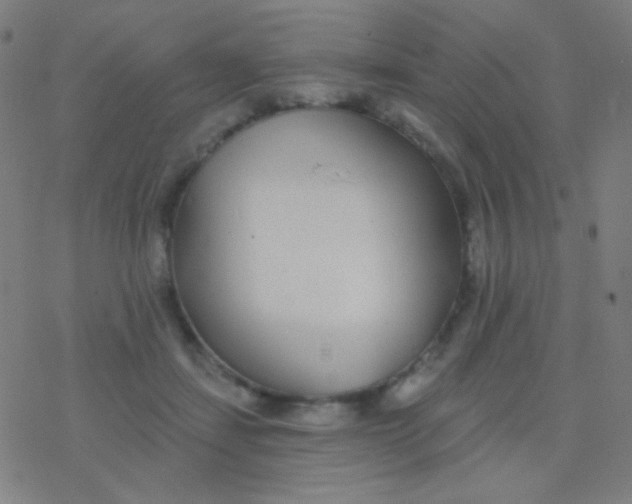 X0000077370459200611101708